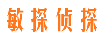 三山市调查公司